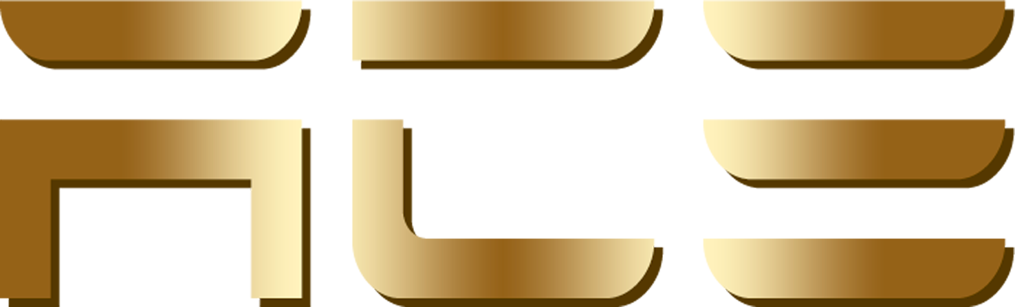 Ace Usa LLC
